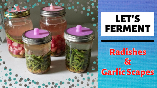 Fermenting Radishes and Garlic Scapes