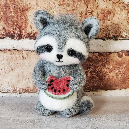 Rascal the Watermelon-Loving Raccoon