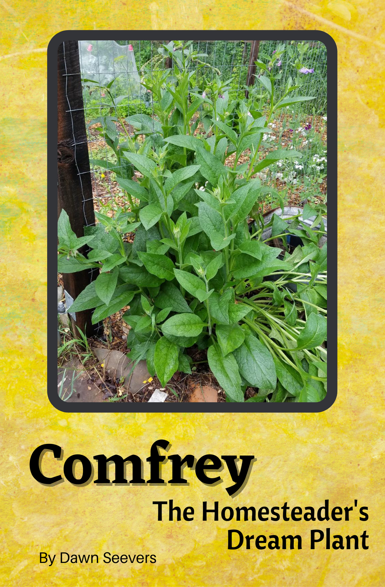 Comfrey - The Homesteader's Dream Plant PDF Download